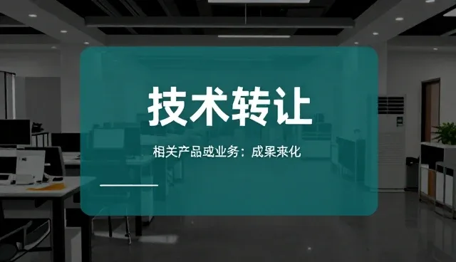 定制化软件服务升级如何驱动业务增长